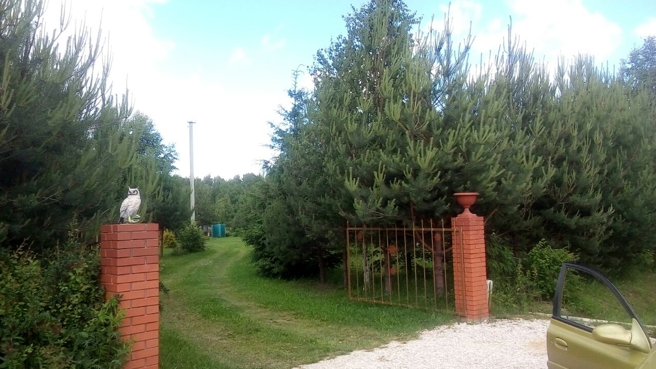 Светлана Дугнист. Поездка 6.jpg Светлана Дугнист. Поездка 6.jpg