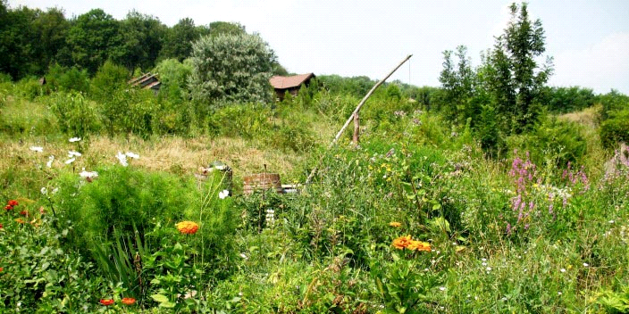 РП Катрук Молдова 4.png РП Катрук Молдова 4.png