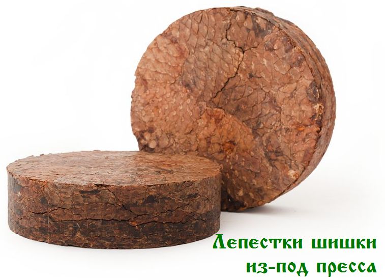 Лепестки шишки из-под пресса.jpg Лепестки шишки из-под пресса.jpg