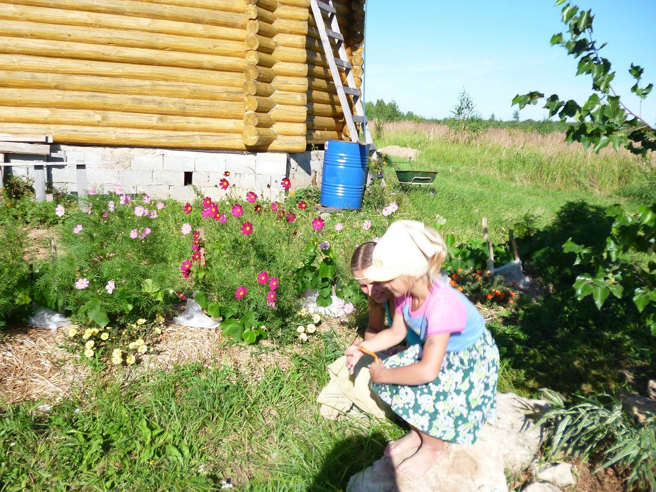 Откровенно о семейном образовании 1.jpg Откровенно о семейном образовании 1.jpg