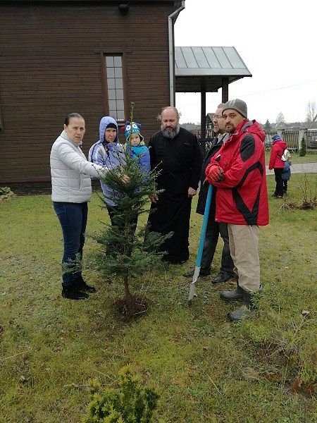 Посадка деревьев вокруг церкви в Киевце. ПРП Росы (2).jpg