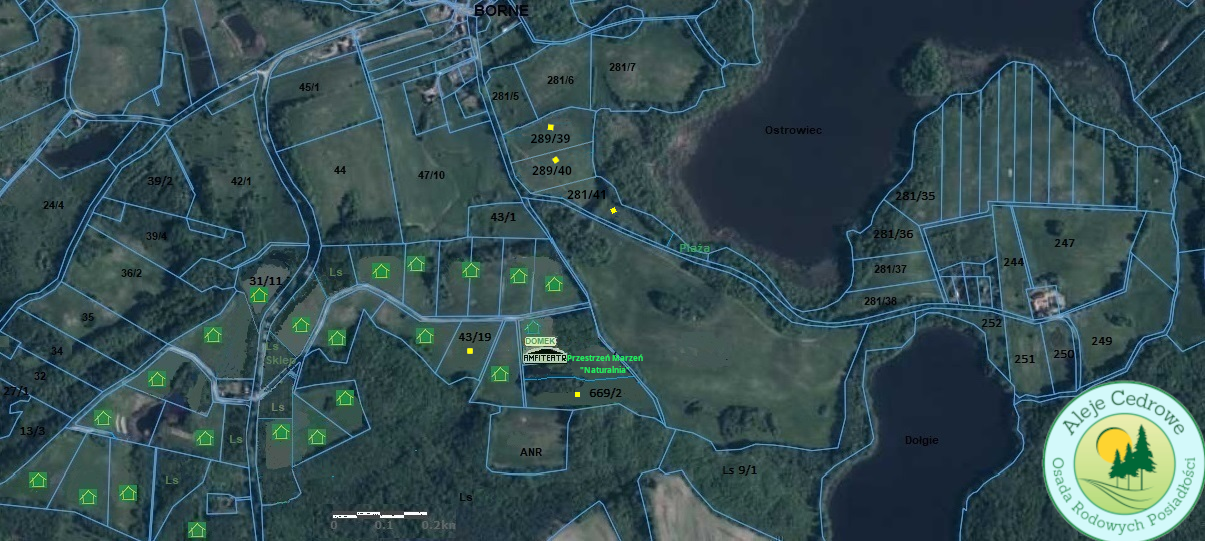 Польша Кедровые Аллеи (1).png Польша Кедровые Аллеи (1).png