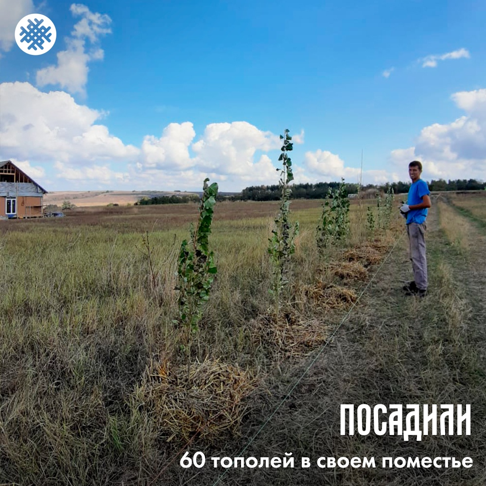 Вера Марченко. Посадили 60 тополей в своём поместье.jpg Вера Марченко. Посадили 60 тополей в своём поместье.jpg