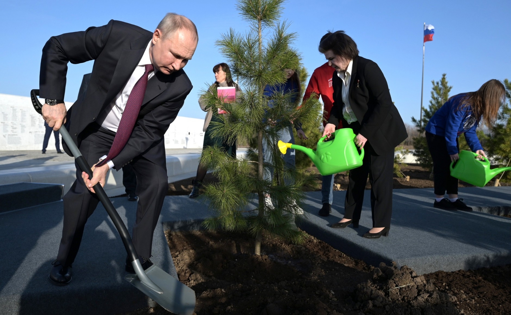 Путин посадил кедр.jpg